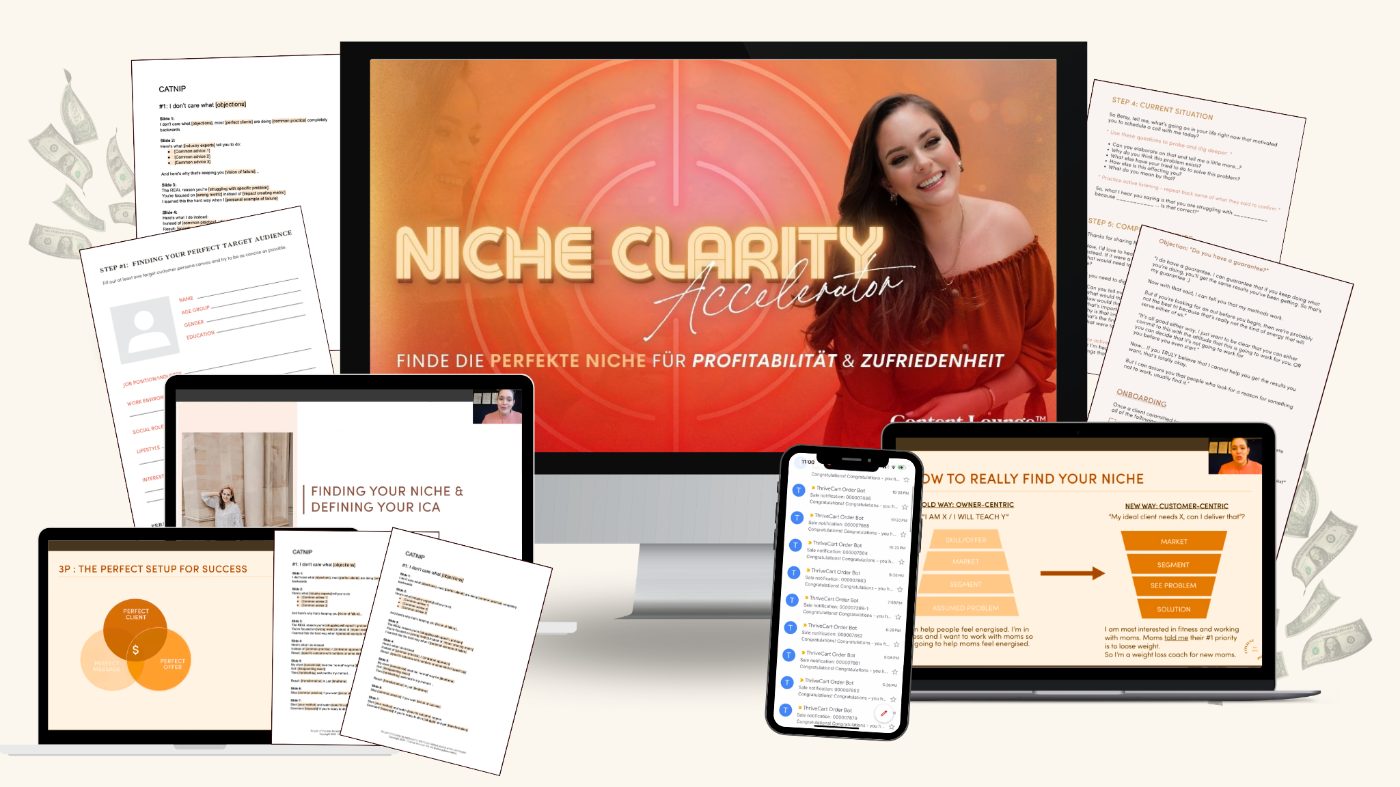 Niche Clarity Accelerator